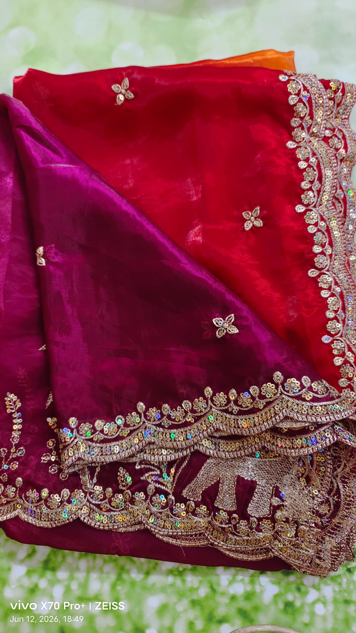 Gaja Dupatta — product view 3