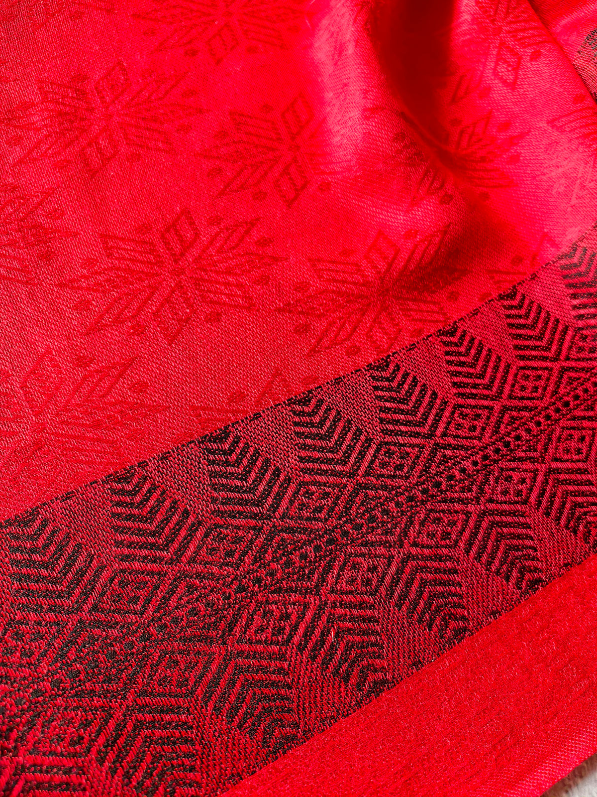 Tara Pashmina Dupatta — product view 5